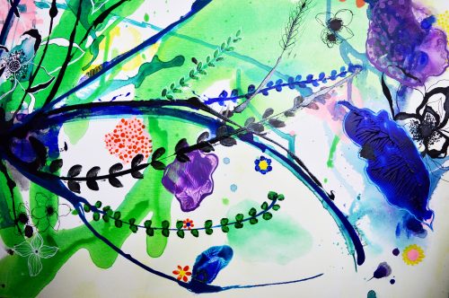 senegal, maleri, art, kunst, botanicalart, botanik, botanic