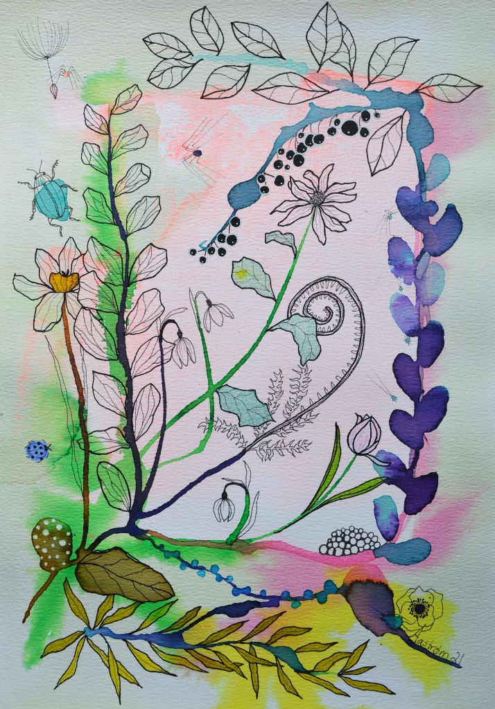 bjørn wiinblad, botanisk illustration, botanik, vintergæk, blomstermaleri, blomster illustration